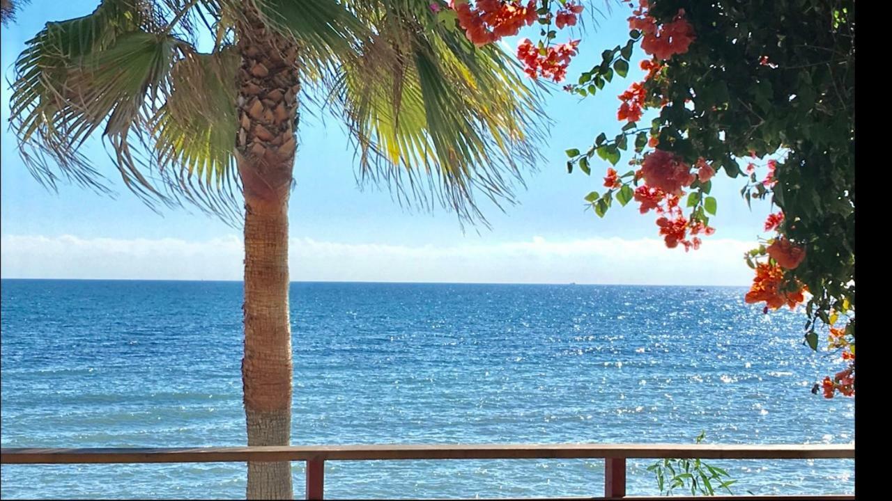 Mi Capricho 9A Beachfront- Apartment With Sea View - Costa Del Sol Sitio de Calahonda Bagian luar foto